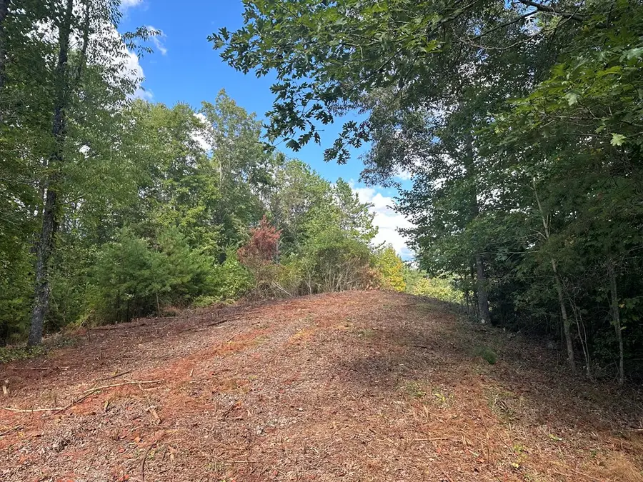 Lot 37 Wildflower Ridge, Warne, NC 28909 - #2