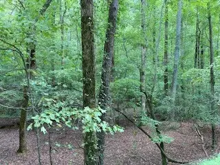 #3