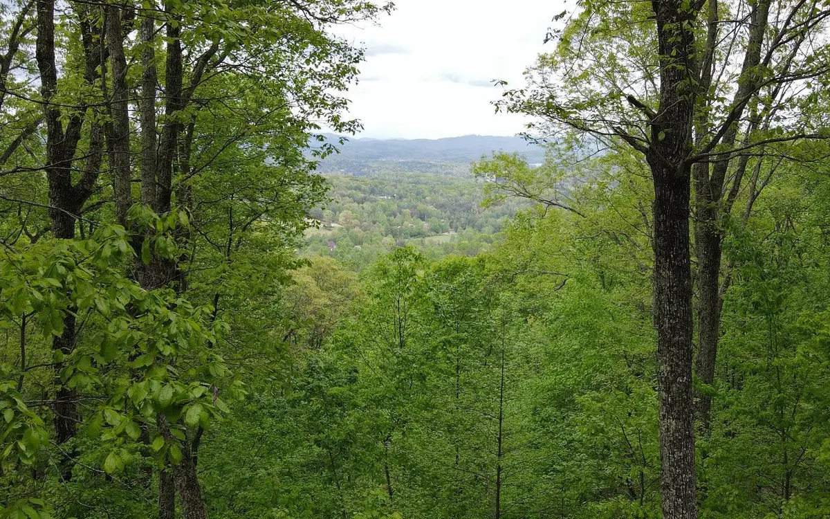119 Croft Mountain Road, Blairsville, GA 30512 - #1