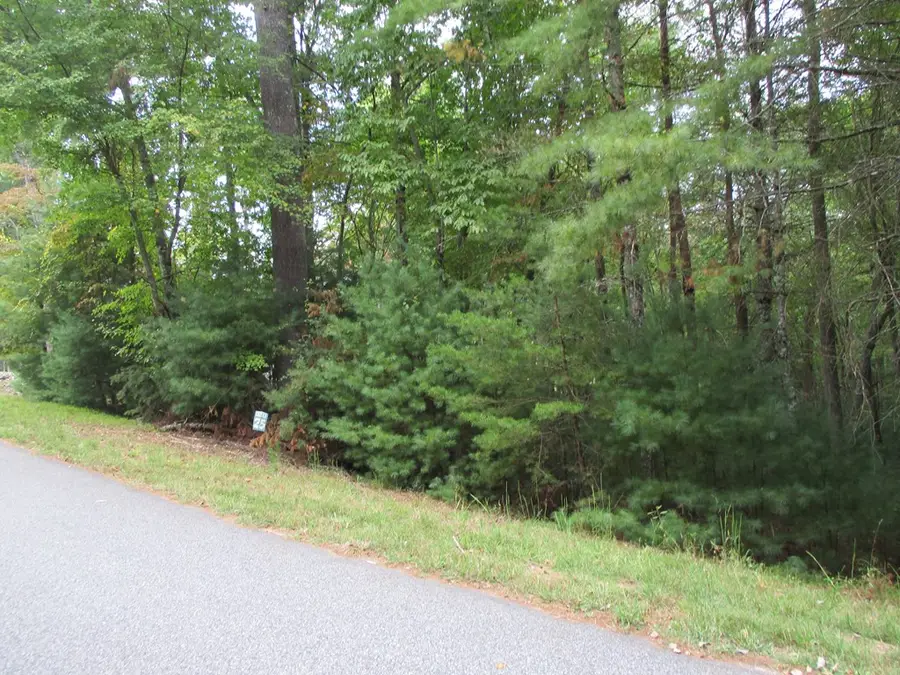 Lot 25 Byers Road, Blairsville, GA 30512 - Image #2