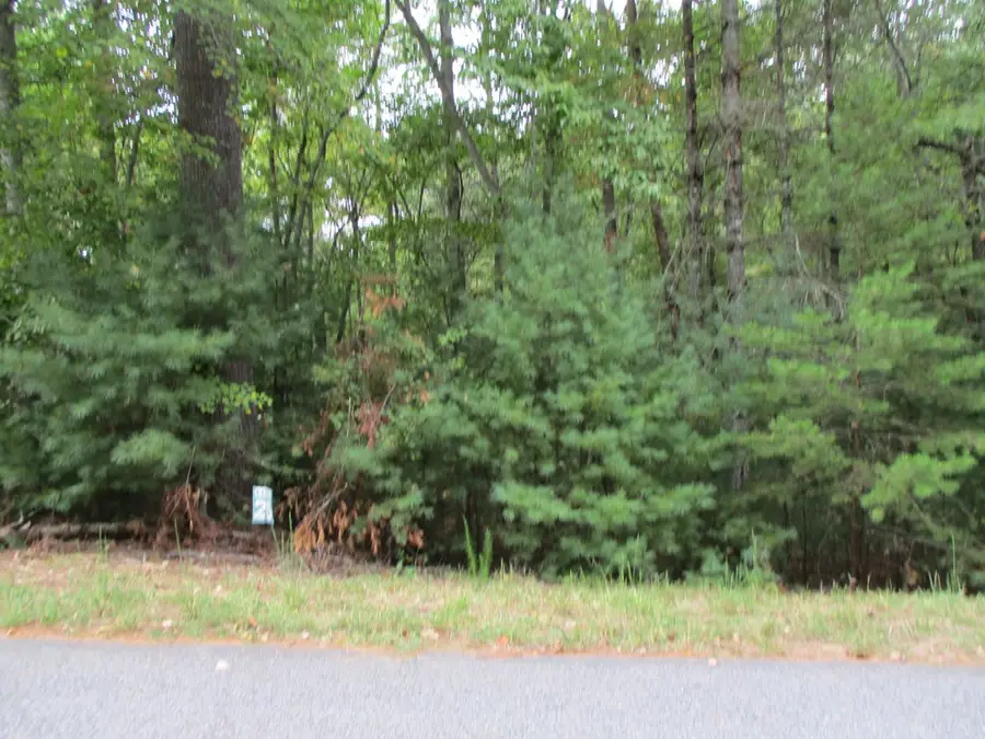 Lot 25 Byers Road, Blairsville, GA 30512 - Image #3