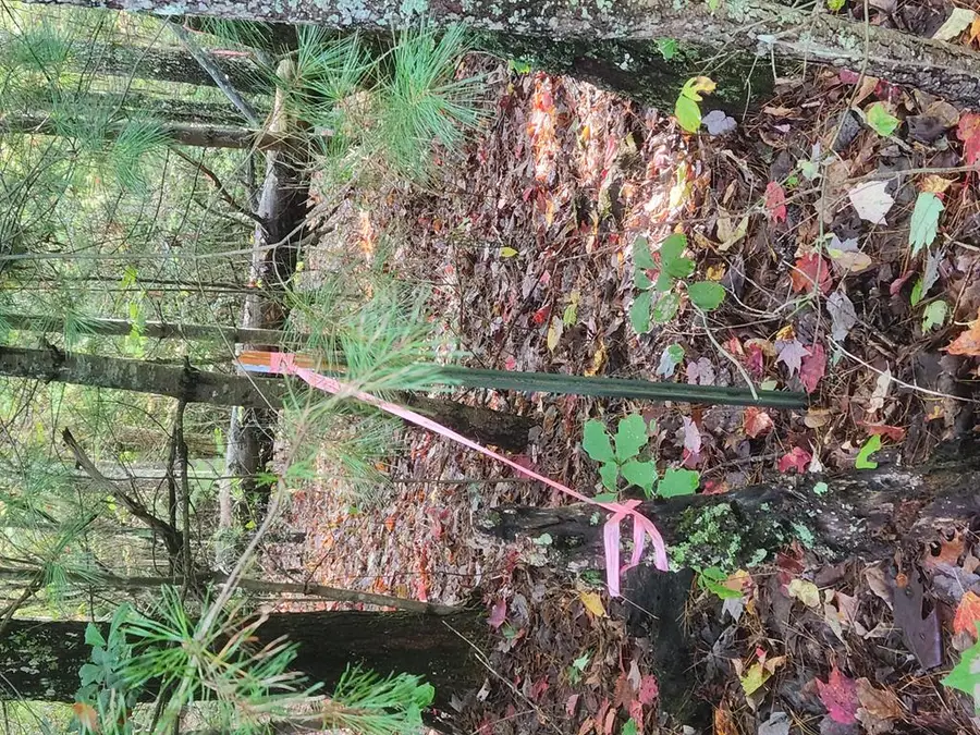 #3