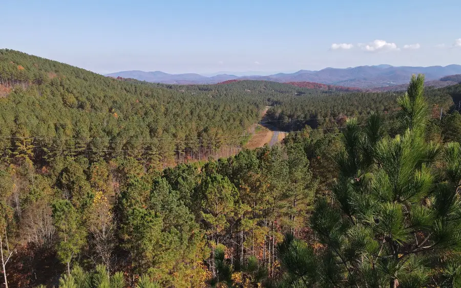 60 Thirteen Hundred, Blairsville, GA 30512 - Image #3