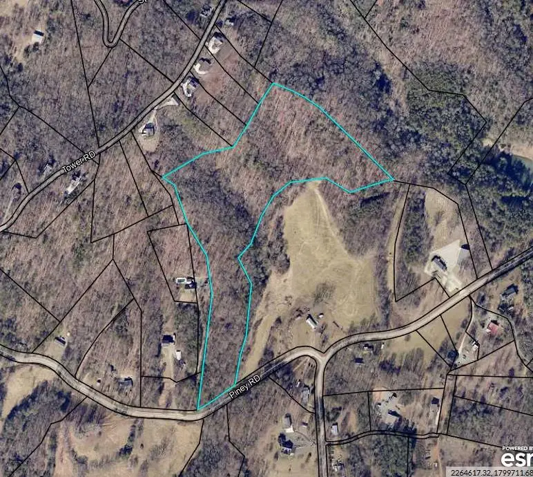 NA Piney Road, Mineral Bluff, GA 30559 - Image #3