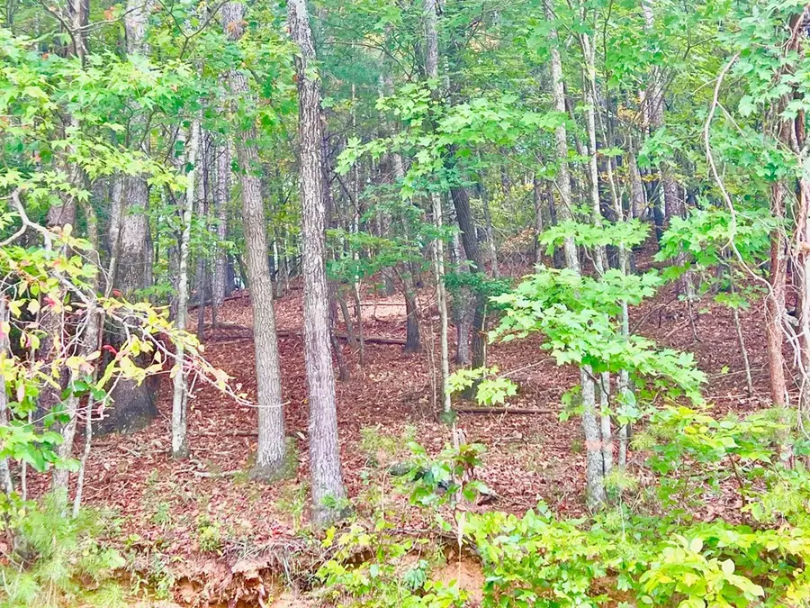 12 Cherokee Drive, Ellijay, GA 30540 - Image #2