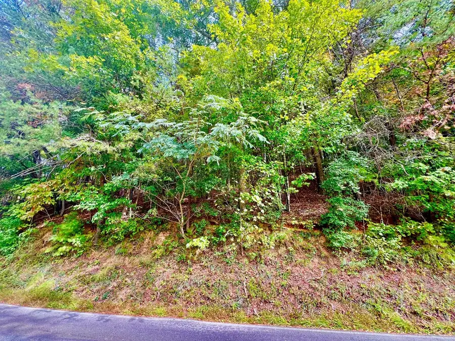 12 Cherokee Drive, Ellijay, GA 30540 - Image #3