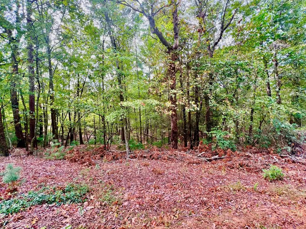 298 Etowah Drive, Ellijay, GA 30540 - #1