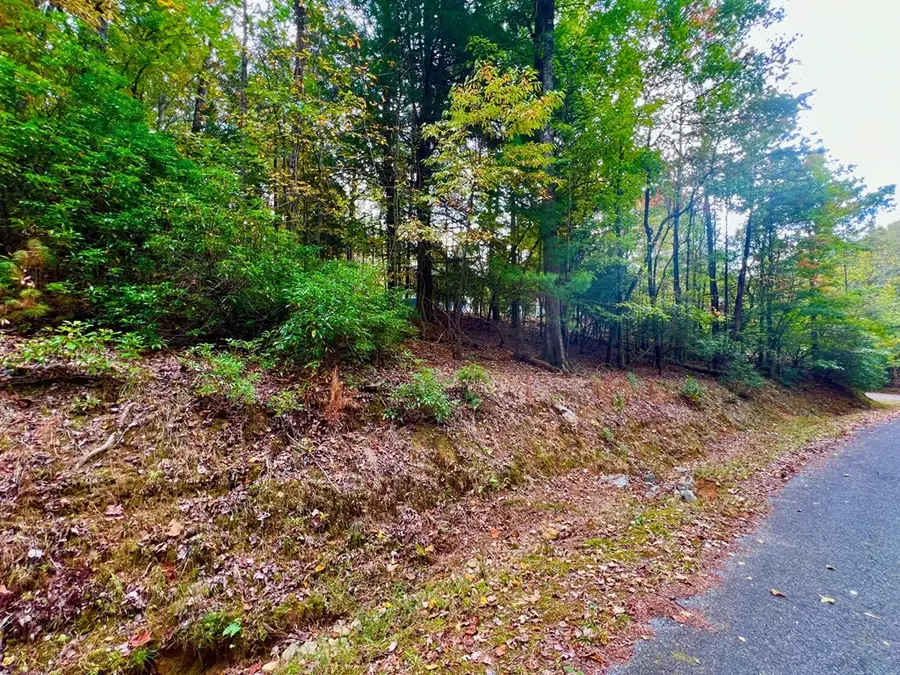 548 North Satsuma Court, Ellijay, GA 30540 - Image #3