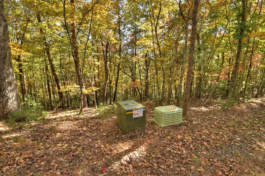 Lot 53 Whitepath Circle N, Ellijay, GA 30540 - Image #2