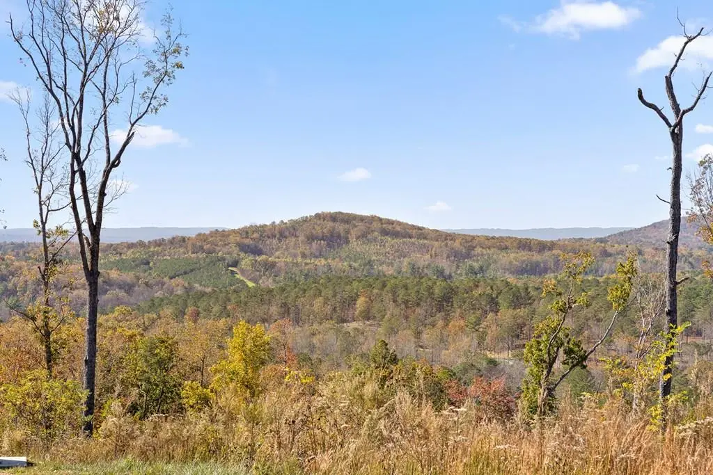 Lot 237 Highgrove Drive, Talking Rock, GA 30175 - #1