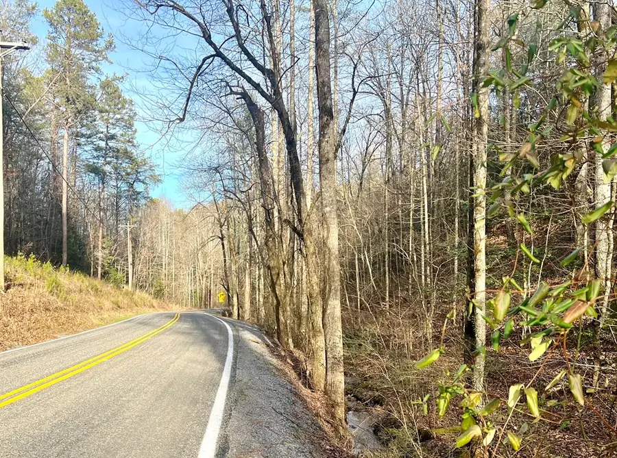 12 ACRE Pleasant Gap Road, Ellijay, GA 30540 - Image #3