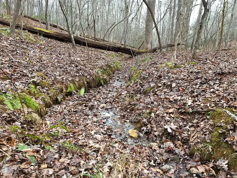 0 Dills Road, Blue Ridge, GA 30513 - #3