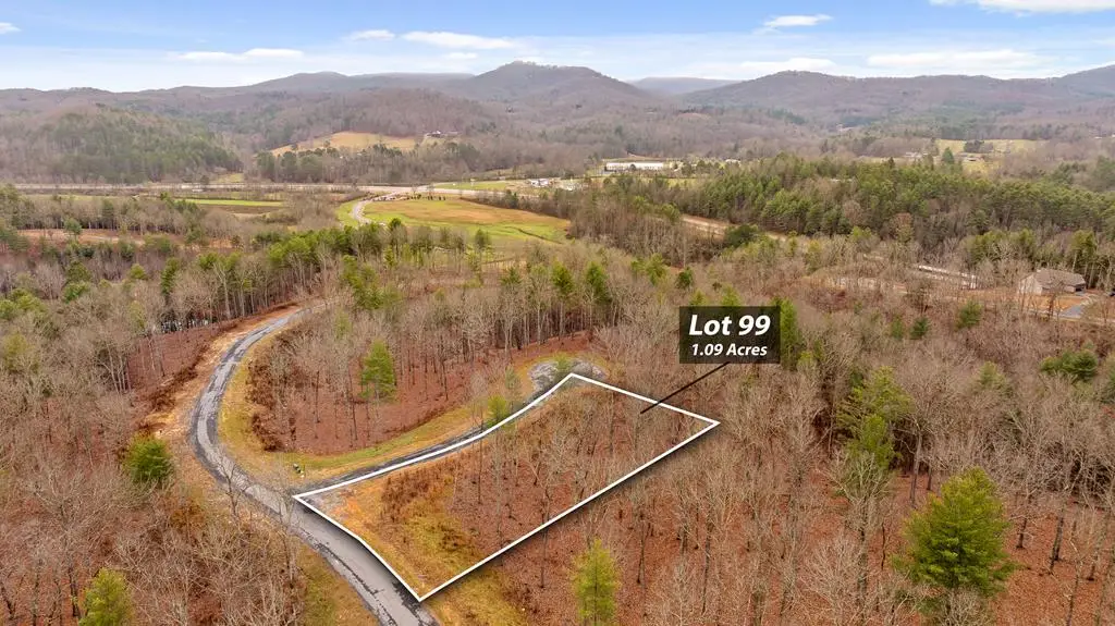 Lot 99 South Wind Court, Morganton, GA 30560 - #1