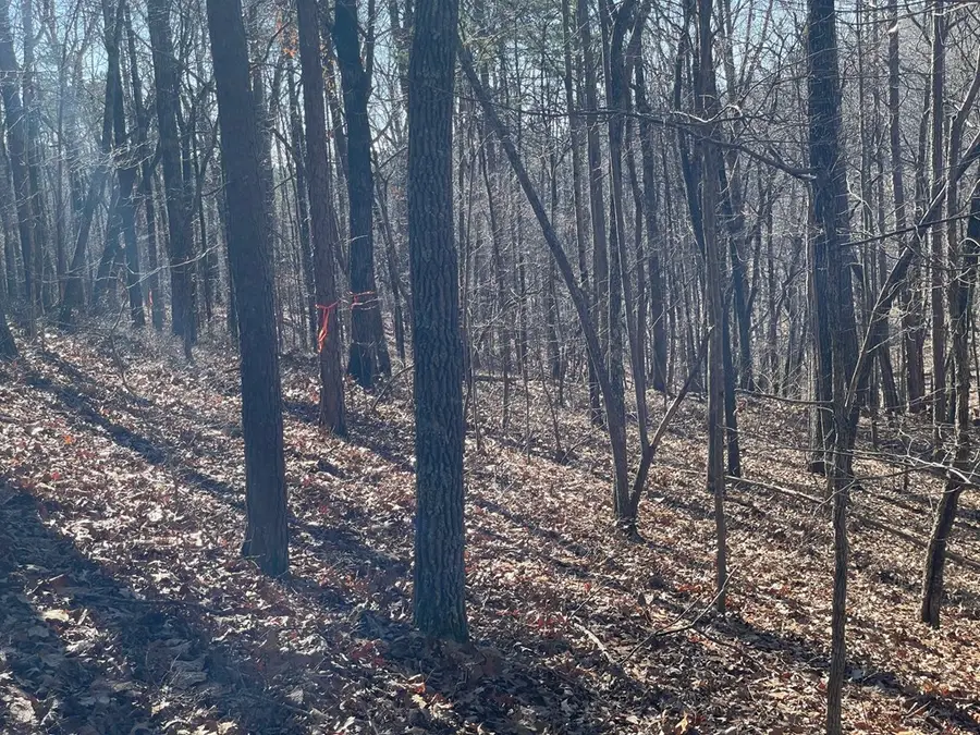 01 Old Federal Road, Talking Rock, GA 30175 - Image #3