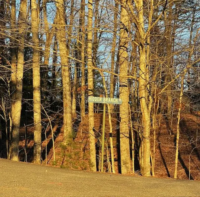 Lot 18 Hidden Branch Drive, Young Harris, GA 30582 - Image #1