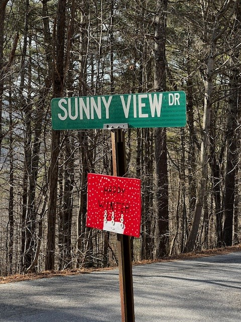 Lot 54 Sunny View Drive, Blairsville, GA 30512 - Image #2