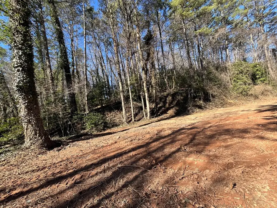 59 Bradley Street, Blue Ridge, GA 30513 - Image #2