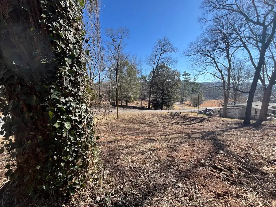 59 Bradley Street, Blue Ridge, GA 30513 - Image #3