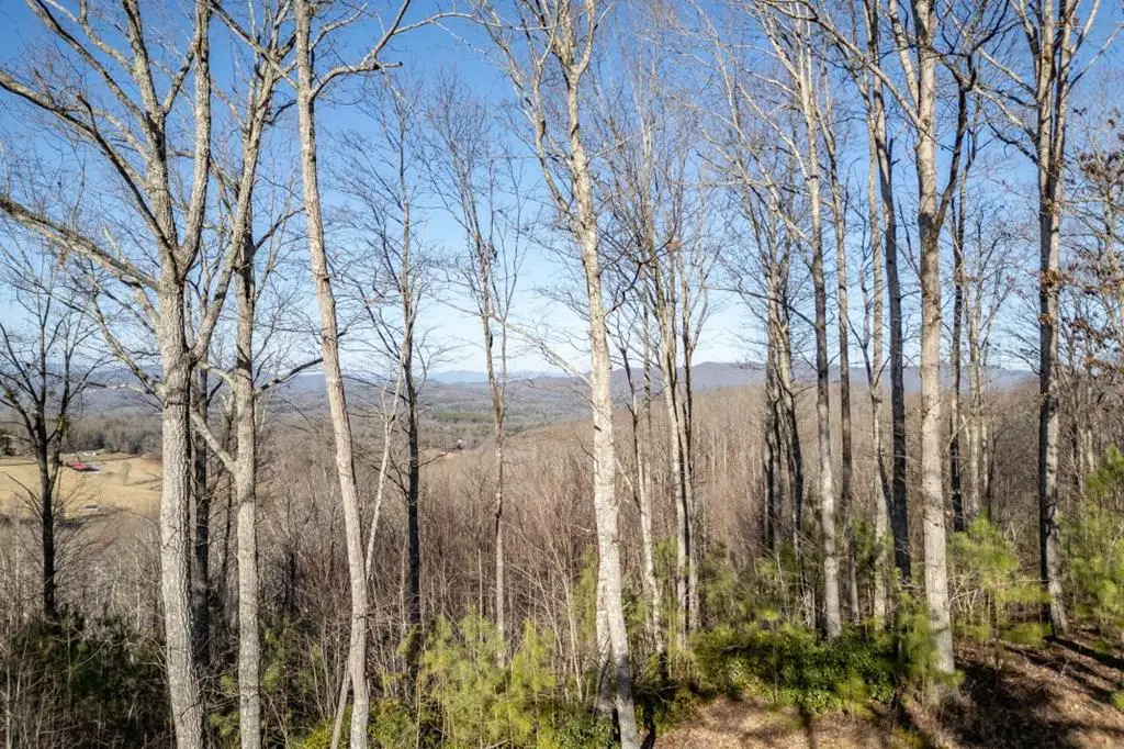 Lot 89 Thirteen Hundred, Blairsville, GA 30512 - #1