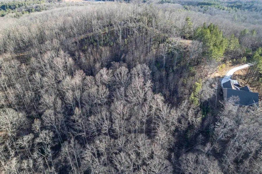 Lot 89 Thirteen Hundred, Blairsville, GA 30512 - #2