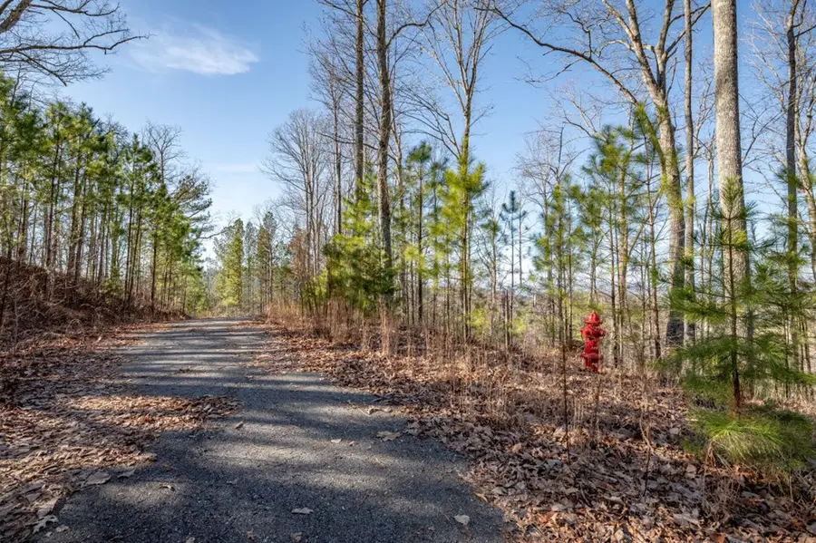 Lot 89 Thirteen Hundred, Blairsville, GA 30512 - #3