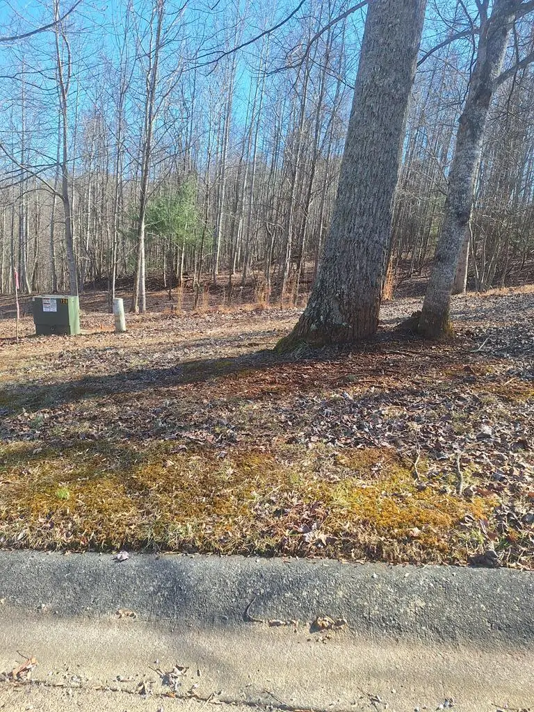 Lot 68 Summit Trace, Blairsville, GA 30512 - Image #1
