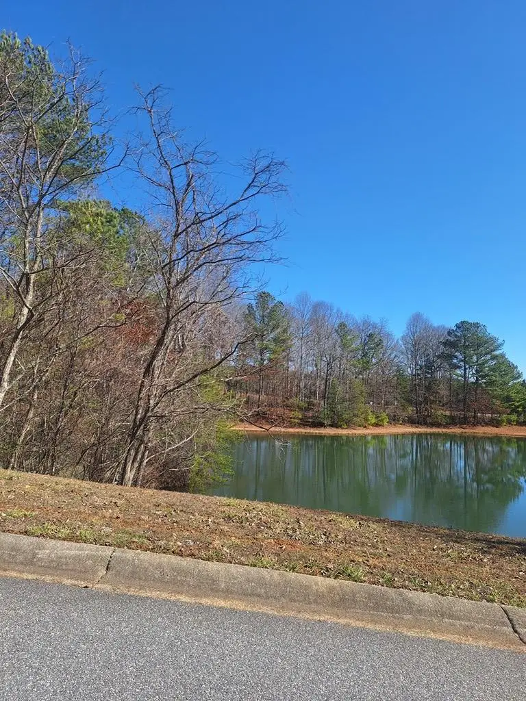 Lot 68 Summit Trace, Blairsville, GA 30512 - Image #3