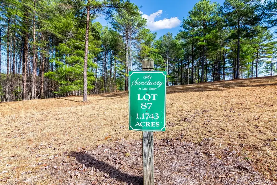 Lot 87 The Sanctuary, Blairsville, GA 30512 - Image #2