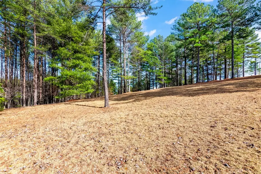Lot 87 The Sanctuary, Blairsville, GA 30512 - Image #3