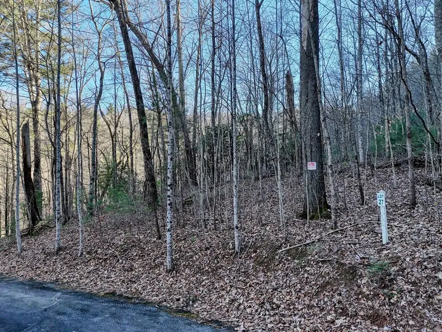 Lot 27 Highland Falls, Blairsville, GA 30512 - #3