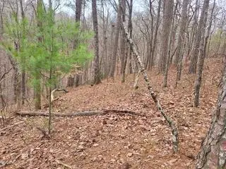 #3