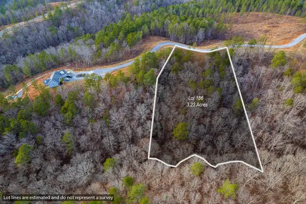 Lot 186 Shelter Cove Trail, Talking Rock, GA 30175