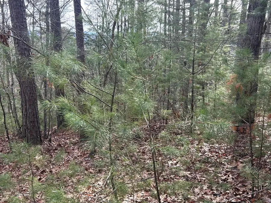 #3
