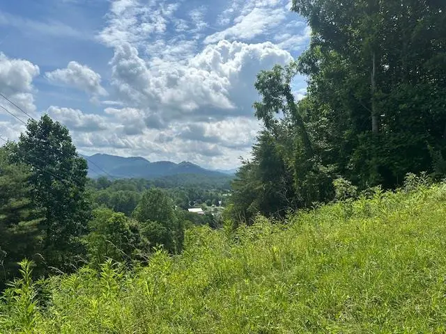 Lot 40 Overlook Trail, Hiawassee, GA 30546 - Image #1