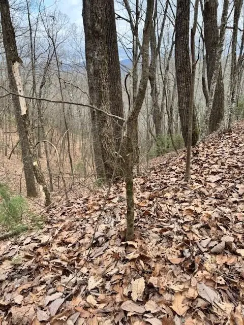 #3