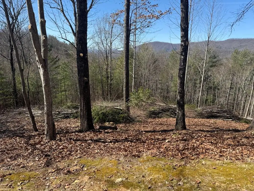 Lot 56 Fires Creek Cove Road, Hayesville, NC 28904 - #1
