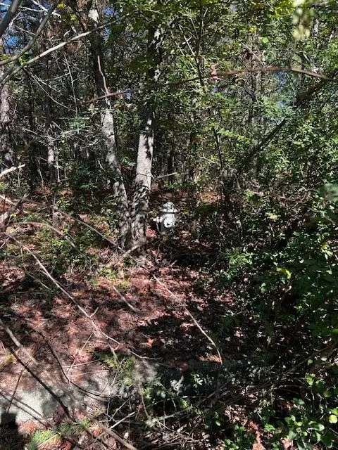 00 Highland, Hiram, GA 30104 - Image #2