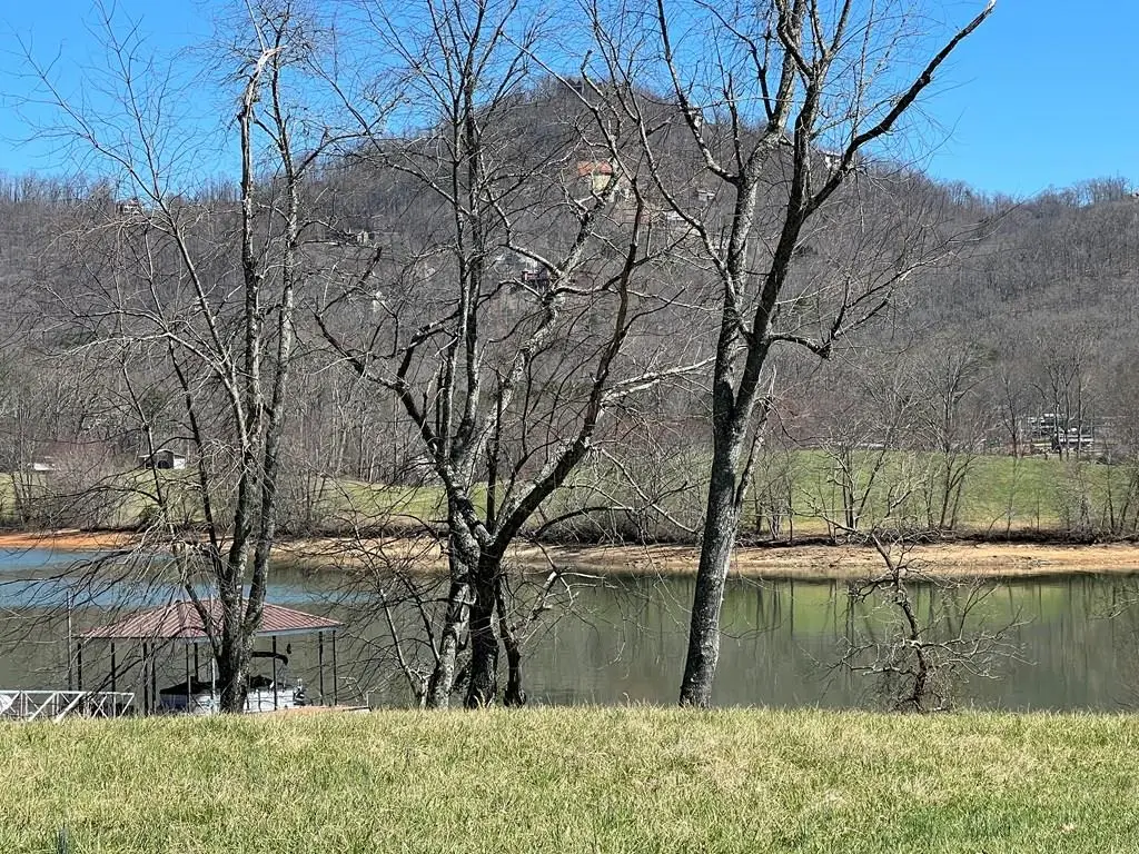 Lot 25 Mcintosh Circle, Hayesville, NC 28904 - #1