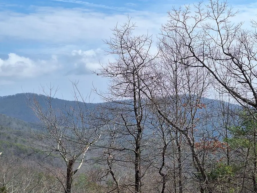 LOT2 Summit Pass, Chatsworth, GA 30705 - #2