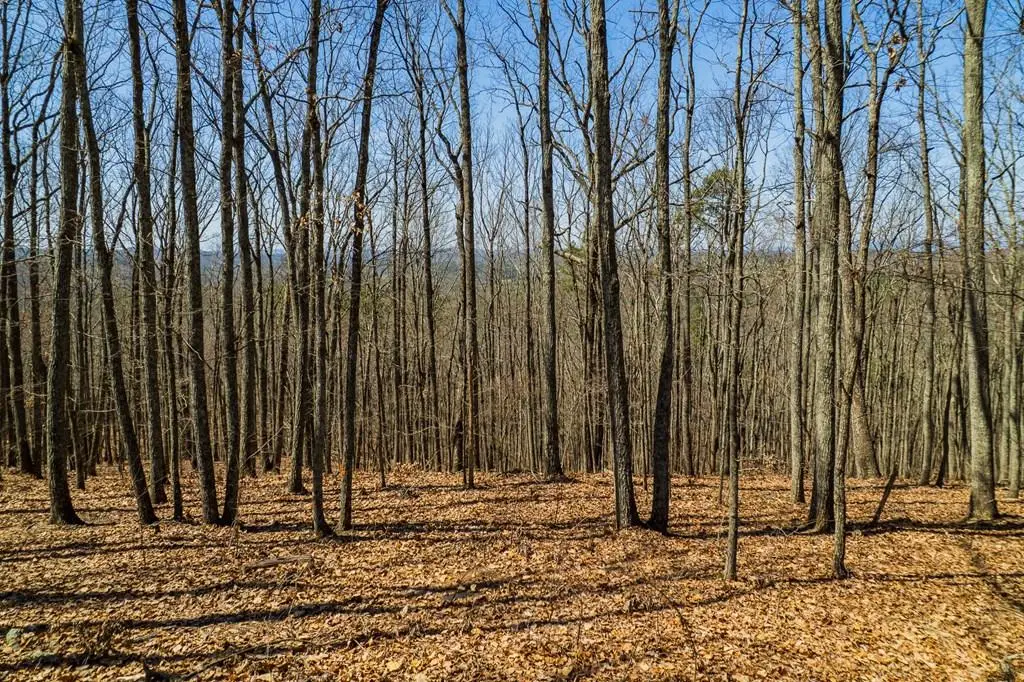 Lot 35 Heatherwood Way, Talking Rock, GA 30175 - #1