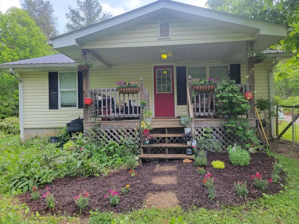 65 Black Oak Ridge Road, Blue Ridge, GA 30513 - #1