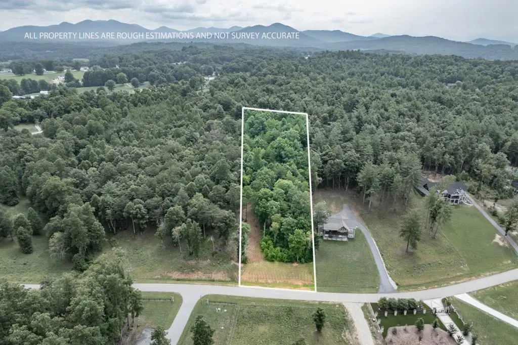 Lot 35 Hidden Harbor, Blairsville, GA 30512 - #1