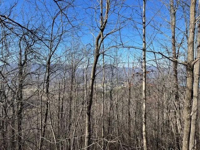 #3