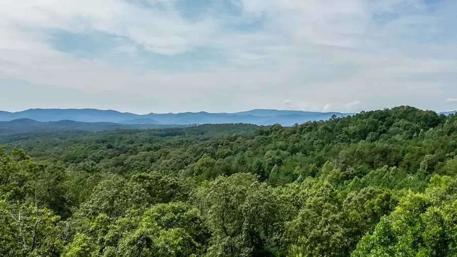 211 Big Timber Road, Mineral Bluff, GA 30559 - Image #2