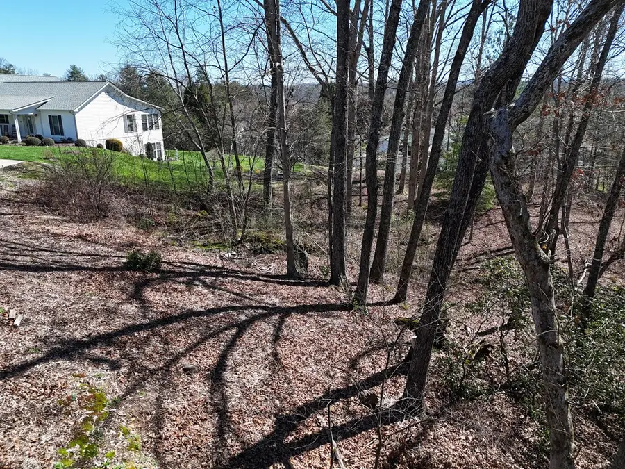 Lot 91 Peyton Drive, Blue Ridge, GA 30513 - Image #2