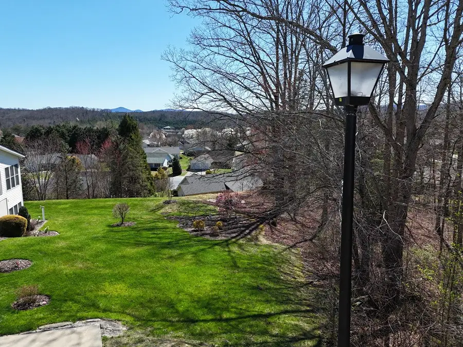 Lot 91 Peyton Drive, Blue Ridge, GA 30513 - Image #3