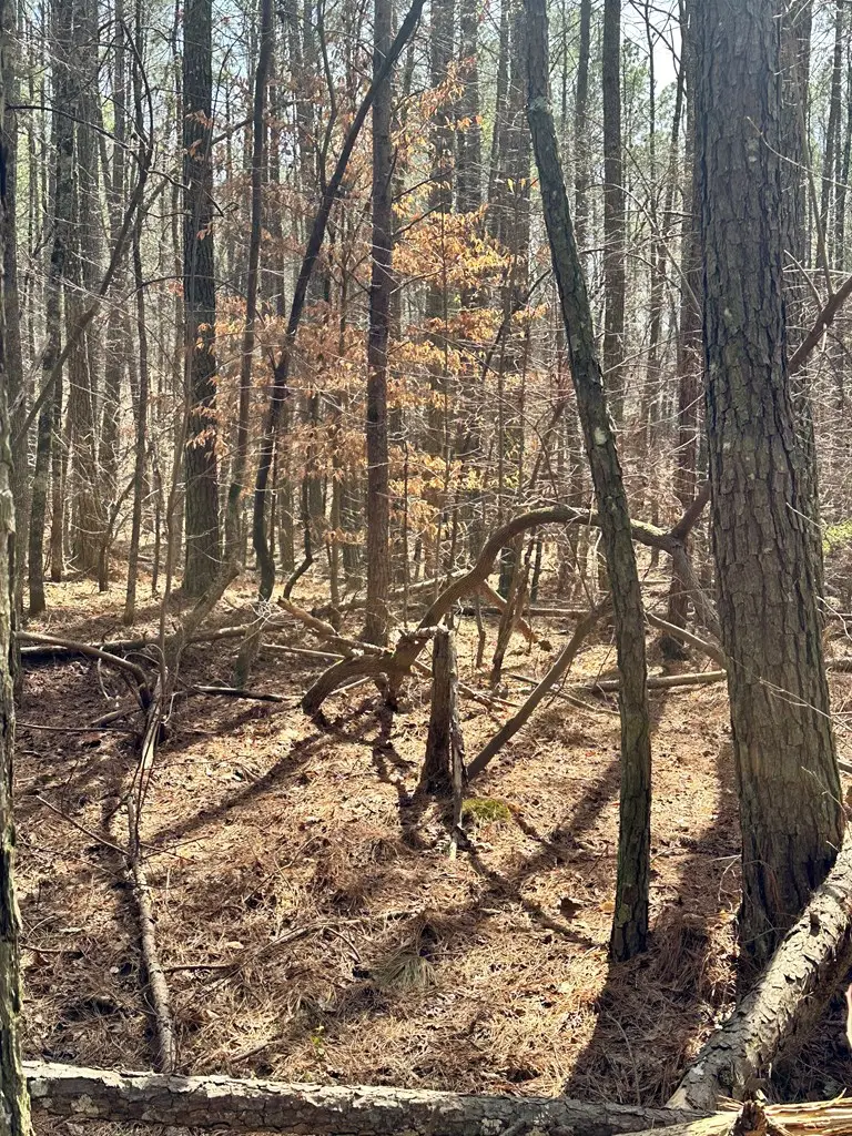 0 SW Autry Road, Plainville, GA 30733 - Image #2