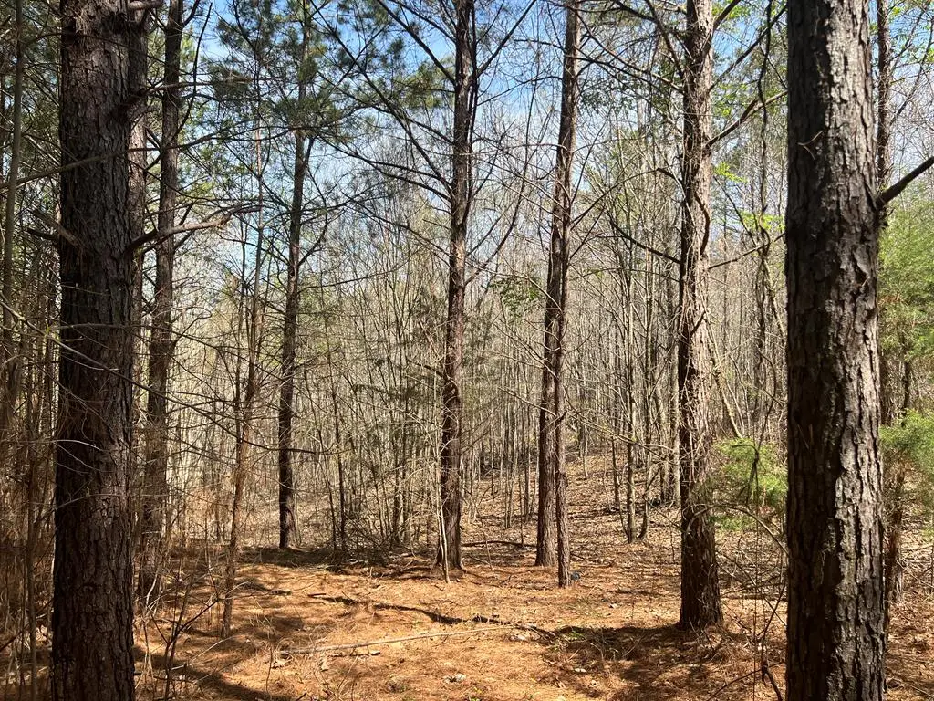 16 Unbridled Road, Rome, GA 30161 - Image #1