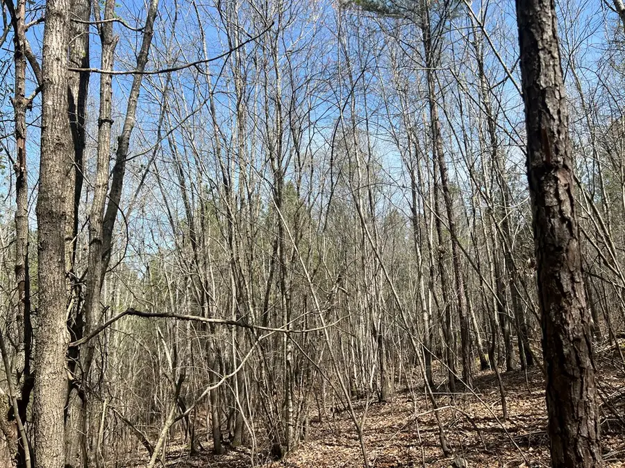 16 Unbridled Road, Rome, GA 30161 - Image #2