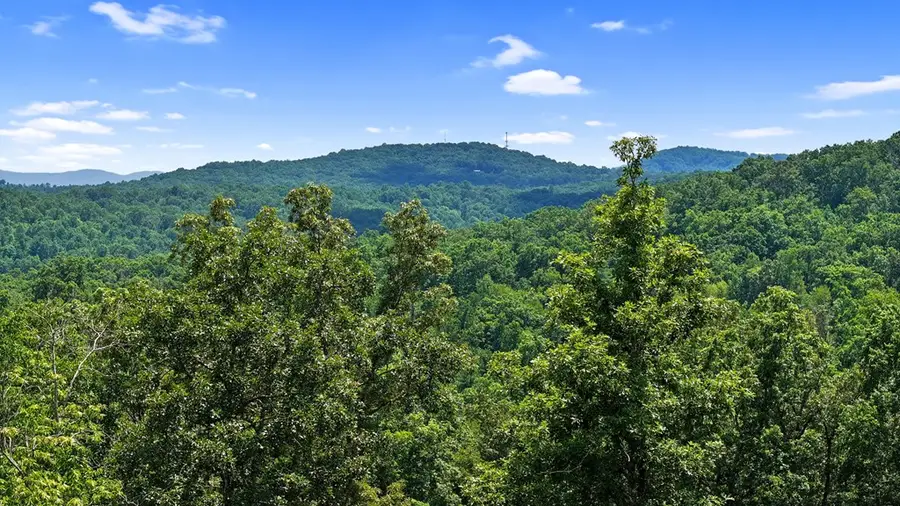 Lot 11 Haven Way, Blue Ridge, GA 30513 - #2